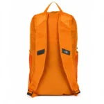 کوله پشتی The North Face Flyweight Backpack 17L اورجینال - تصویر 2